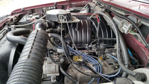 1996 Ford Bronco - A close-up view of the engine bay of a 1996 Ford Bronco, showcasing the intake manifold, spark plug wires, and various hoses and electrical…