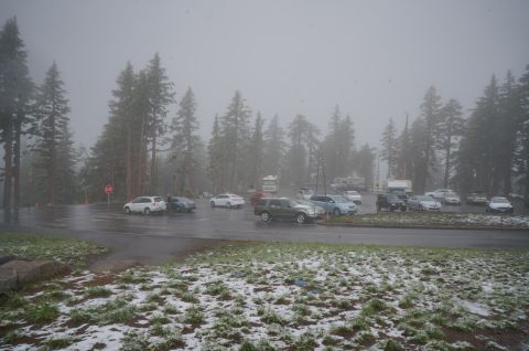 1995 Chevrolet P30 1 Ton - Step Van - A parking lot is covered in patches of snow and grass, with several cars parked in the background under a foggy sky. Tall evergreen trees l…