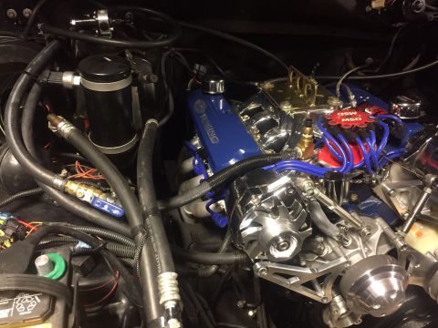 1982 Ford Bronco - A detailed view of a modified V8 engine bay, featuring a blue intake manifold with "TRACING" text, a red MSD ignition distributor, and vari…