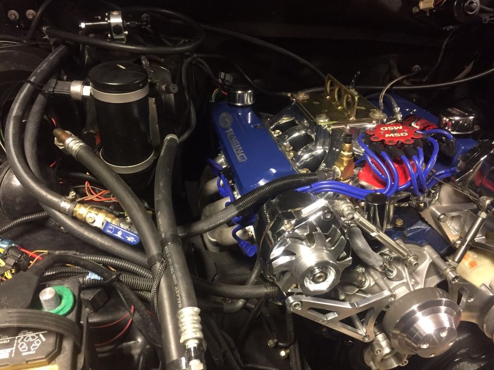 Modified V8 engine bay with blue intake, red MSD distributor, chrome parts, and hoses.