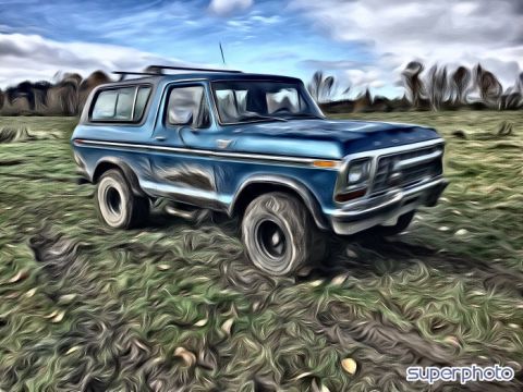 1979 Ford Bronco - This blue Ford Bronco is parked in a grassy field under a cloudy sky.
