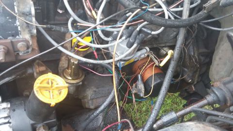 1984 Ford Bronco - Close-up view of an engine bay, showing various components including the distributor, spark plug wires, fuel pump, and oil filter.