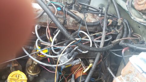1984 Ford Bronco - A close-up view of a cluttered engine bay, showing the distributor and a tangle of wires and hoses.