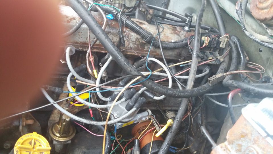 Engine bay with distributor, spark plug wires, and various hoses and electrical connections
