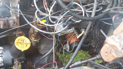 1984 Ford Bronco - A close-up view of a cluttered engine bay, showing a distributor cap and numerous wires.