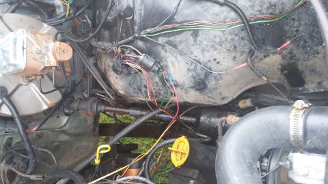 1984 Ford Bronco - Close-up view of the complex wiring harness and various engine components in a vehicle's engine bay.