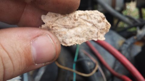 1984 Ford Bronco - A piece of crumpled paper is held in front of a tangle of engine wires and cables.