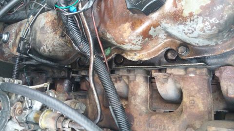 1984 Ford Bronco - Close-up view of engine components, showing exhaust manifold and various hoses, with signs of rust and age.