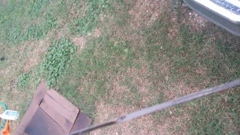 1984 Ford Bronco - An engine oil dipstick is visible against a grassy background with some cardboard.