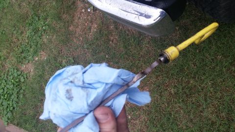 1984 Ford Bronco - Checking engine oil level with a dipstick and rag.