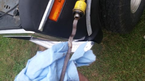 1984 Ford Bronco - A hand holds an oil dipstick, with the engine bay of a vehicle in the background.