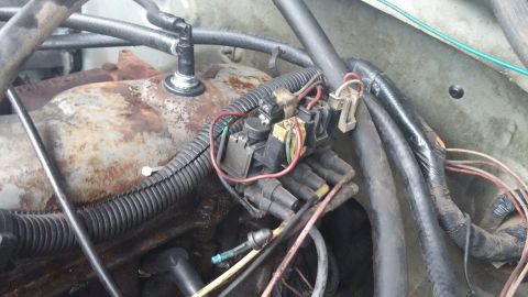1984 Ford Bronco - Close-up view of engine components including spark plug wires and a distributor cap.