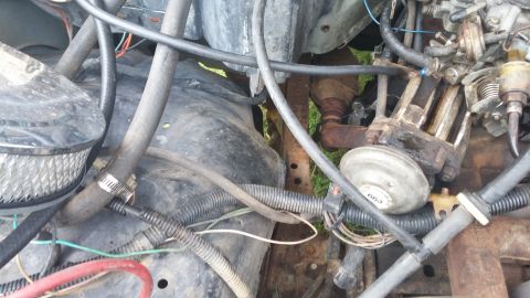 1984 Ford Bronco - Engine bay detail showing distributor and associated wiring and hoses.