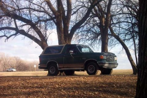 1987 Ford Bronco - A 1987 Ford Bronco is parked outdoors under large trees on a sunny day.