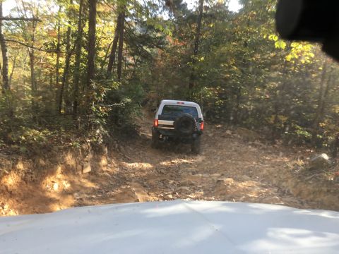 1979 Ford Bronco - A white SUV with a spare tire mounted on the rear is driving up a rocky, wooded trail. The vehicle is viewed from behind and slightly to th…