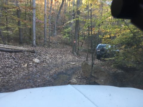 1979 Ford Bronco - A dark-colored SUV is parked on a wooded trail covered in fallen leaves. The vehicle is partially obscured by trees and branches, with a la…