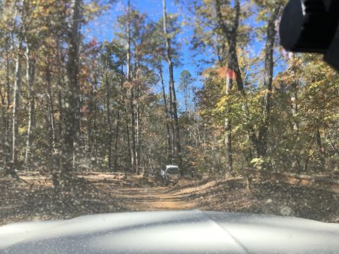 1979 Ford Bronco - A white SUV is driving down a dirt road through a forest with autumn foliage. The view is from the perspective of the driver's seat looking…