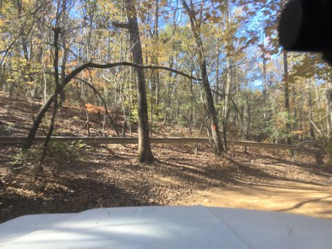1979 Ford Bronco - A dirt road winds through a forest with trees displaying autumn foliage. A metal guardrail runs along the side of the road, and fallen leav…