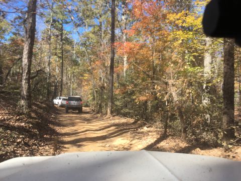 1979 Ford Bronco - Two SUVs drive down a dirt road through a forest with autumn foliage. The lead SUV is silver, and the one behind it is white.