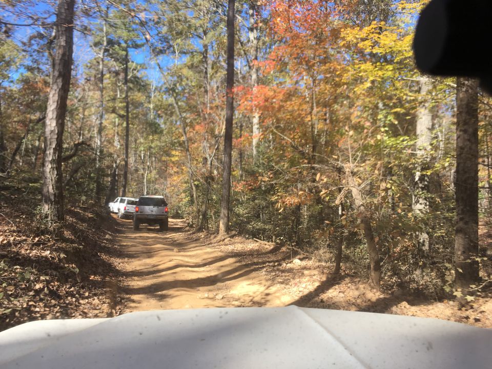 Silver and white SUVs driving on a dirt road in a forest with fall colors.