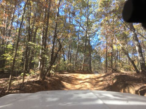 1979 Ford Bronco - The front of a white vehicle is visible in the foreground, looking out onto a dirt road winding through a forest with autumn foliage. The s…