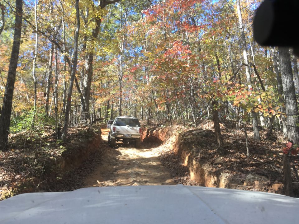 White SUV driving on a dirt road through an autumn forest.