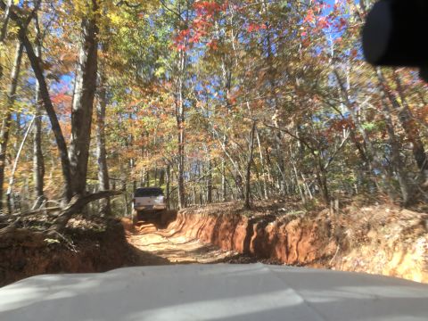 1979 Ford Bronco - A white pickup truck drives up a rutted dirt road through a forest with colorful autumn leaves. The photo is taken from the perspective of…