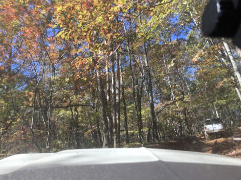 1979 Ford Bronco - A white SUV is driving on a dirt road through a forest with autumn foliage. The photo is taken from the perspective of another vehicle, sho…