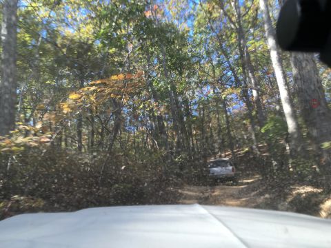 1979 Ford Bronco - A silver SUV drives down a dirt road through a forest with autumn foliage. The photo is taken from the perspective of another vehicle, show…