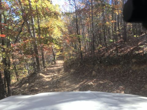 1979 Ford Bronco - A dirt road winds through a forest with autumn foliage. The image is taken from inside a vehicle looking forward.