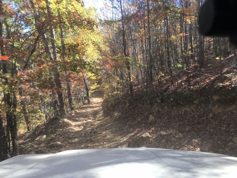 Dirt road through autumn forest, seen from inside a vehicle.
