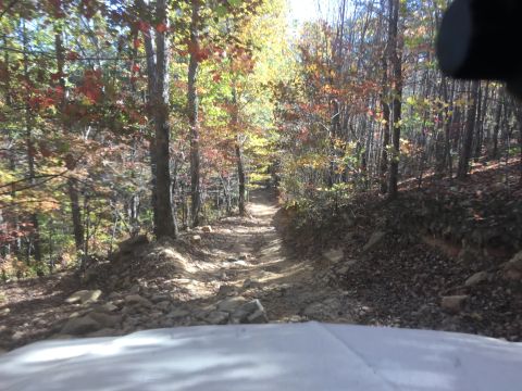 1979 Ford Bronco - The front view of a white vehicle is shown, partially obscuring a dirt road winding through a forest with autumn foliage. The road is rocky…