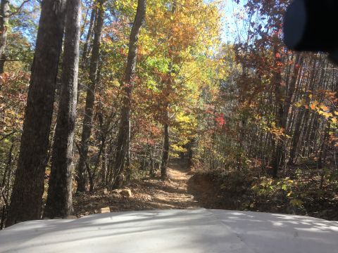 1979 Ford Bronco - The image shows a dirt road winding through a forest with autumn foliage. The foreground shows the hood of a white vehicle, suggesting the…