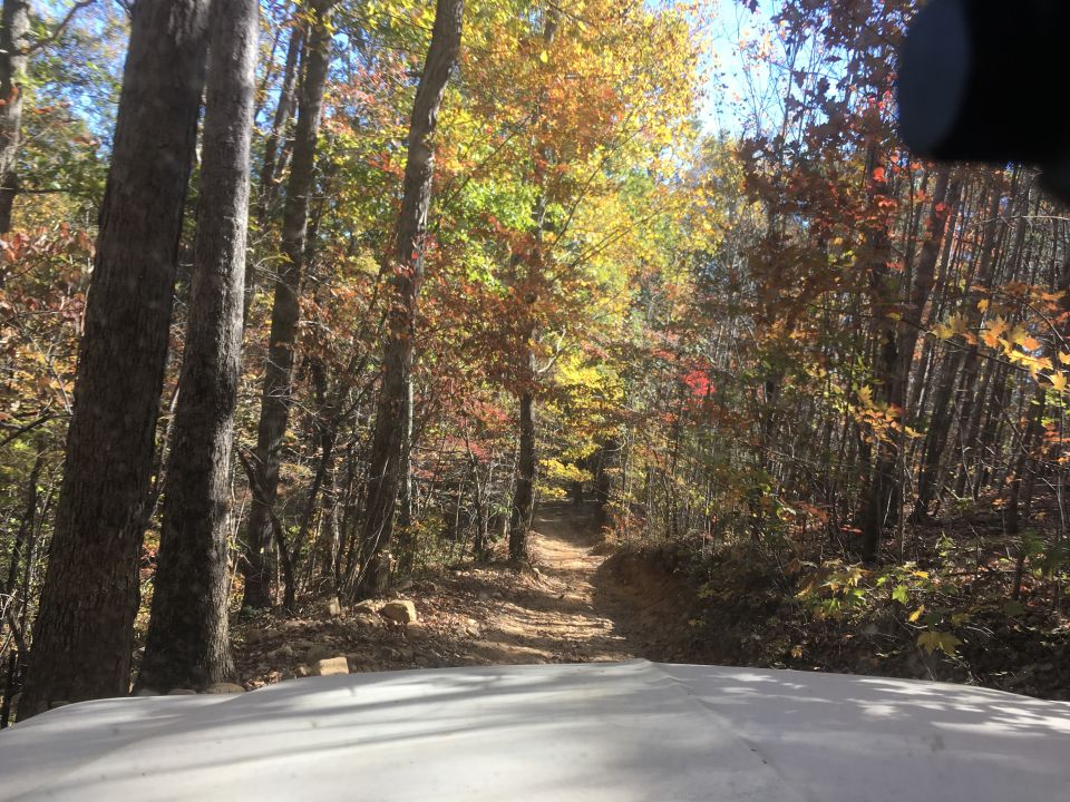 Dirt road through autumn forest, seen from a white vehicle.