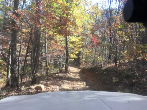 1979 Ford Bronco - The hood of a white vehicle is visible in the foreground, looking out onto a dirt road winding through a forest with autumn foliage.