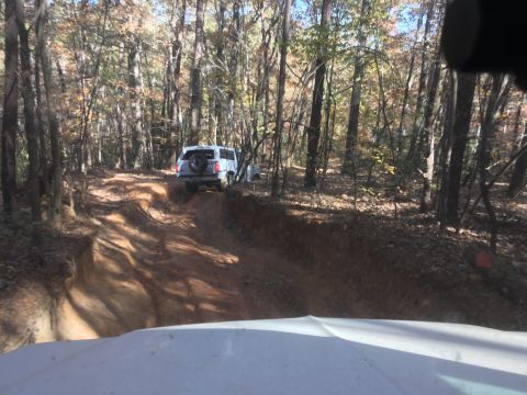 1979 Ford Bronco - A white SUV drives on a dirt trail through a forest with autumn foliage. The vehicle is seen from the perspective of another vehicle follow…