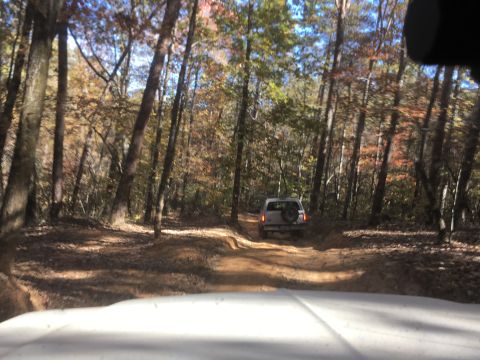 1979 Ford Bronco - A white SUV drives down a dirt road through a forest during autumn. The vehicle is viewed from the front, looking forward through the winds…