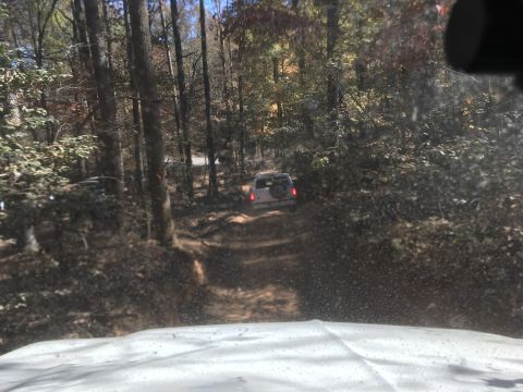 1979 Ford Bronco - A white SUV is driving down a dirt road through a wooded area during the fall. The vehicle is seen from behind as it navigates the uneven t…