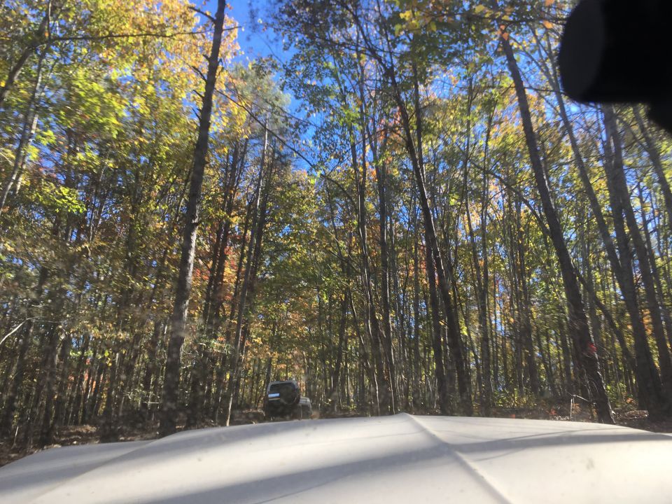 White vehicle hood in foreground, forest with fall colors, distant SUV on dirt road.