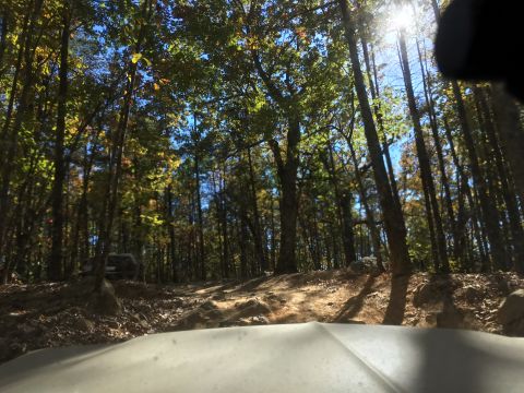 1979 Ford Bronco - A 1979 Ford Bronco is partially visible off-road in a wooded area with sunlight filtering through the trees.