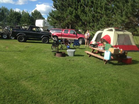 1979 Ford Bronco - A black 1979 Ford Bronco is parked on the grass next to a red Ford pickup truck and a large tent. A picnic table with items on it is set up…