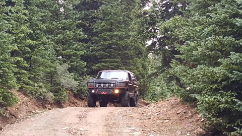 1996 Ford Bronco - Ford Bronco navigates a wooded mountain road.