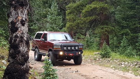 1996 Ford Bronco - A 1996 Ford Bronco navigates a wooded trail with a prominent bull bar and auxiliary lights.