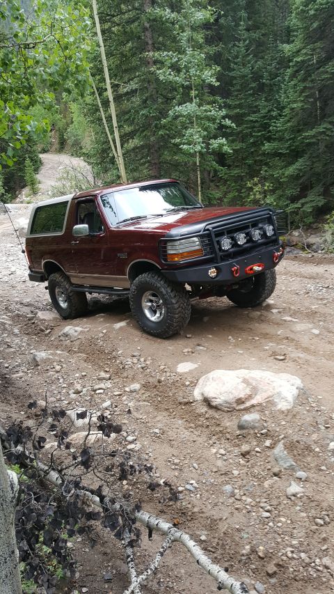 1996 Ford Bronco - 1996 Ford Bronco navigating a rough, wooded trail with large tires.