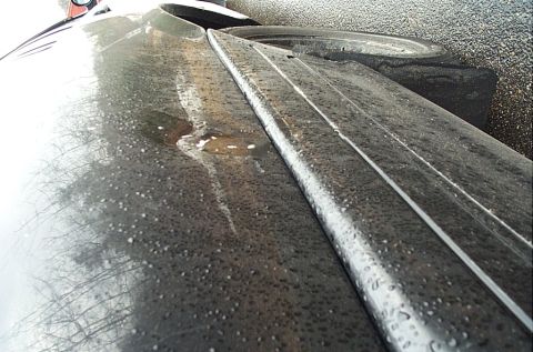 2001 Ford Crown Victoria - A close-up view of a wet car hood with reflections, a tire visible behind it.