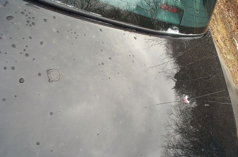 2001 Ford Crown Victoria - The rear of a black vehicle, showing water spots on the trunk and the base of an antenna.