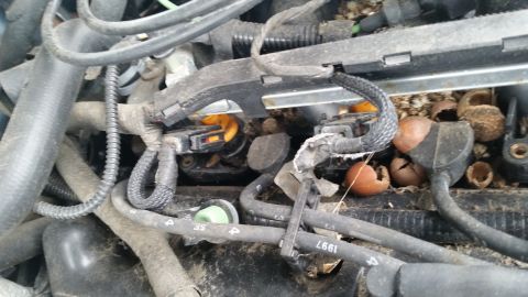 1991 Ford LTD Crown Victoria - Close-up view of a cluttered engine compartment with visible wiring and organic debris.