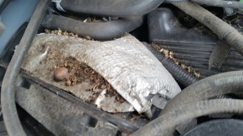 1991 Ford LTD Crown Victoria - Engine bay components are visible, covered in dirt and debris, with some insulation material.