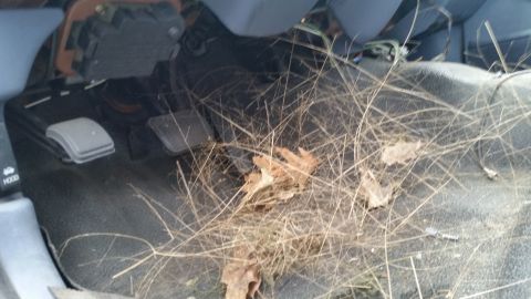 1991 Ford LTD Crown Victoria - Debris covers the floor of a car interior, obscuring the pedals and carpet.