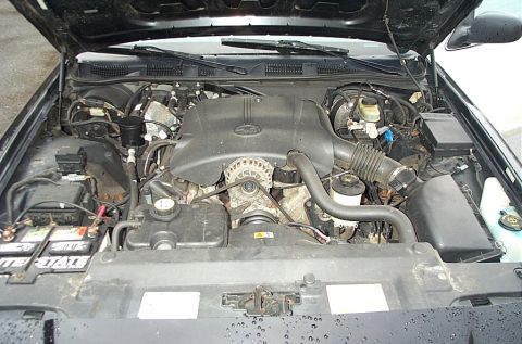 2001 Ford Crown Victoria - The engine bay of a 2001 Ford Crown Victoria is shown with the hood open.